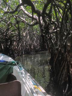 Feelsidevilla - Bentota - 1