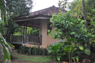 Guruwaththa Eco Lodge - Hikkaduwa - 2