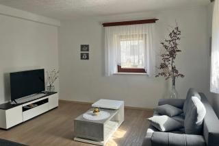 Apartment Baban in Žaga, Slovenia - Žaga - 2