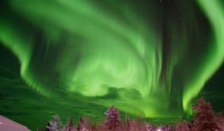 Lapland Snow Moose - 8