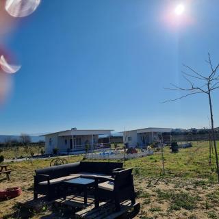 Agroktima - Arta - 3