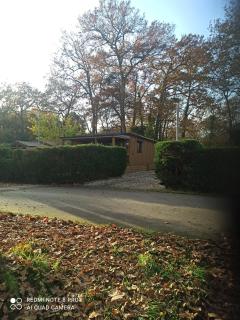 Chalet RUISSEAU 02 - 4