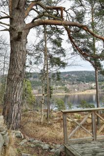 Sjelfulle Utsikten - - 1