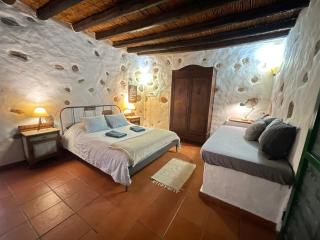 Pet friendly Home in Gran Canaria - Ojos de Garza - 0