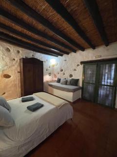 Pet friendly Home in Gran Canaria - Ojos de Garza - 8