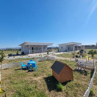 Agroktima - Arta - 4