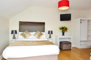 Dingle Harbour Lodge B&B - 2