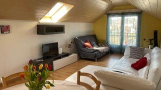 Appartement entier, calme, confortable et spacieux - Gundershoffen - 0