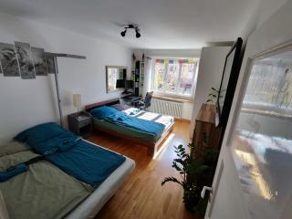 Cozy Central Home with balcony - Basilea - 9
