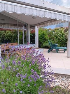 Sončen apartma Novigrad - Novigrad Istria - 6