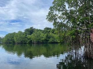 Lagoon Bliss - Ahangama - 1