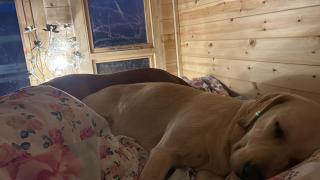 Luxury summer house with stunning vies pet friendly - 2