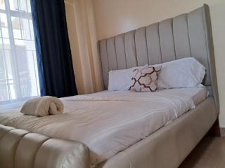 Nash issah - 2BEDROOM Excutive Air - Nakuru - 8