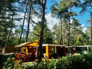 Onthaasten op de Veluwe - Doornspijk - 0