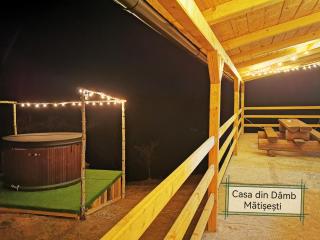 Casa din Dâmb Mătișești - Mătişeşti - 9