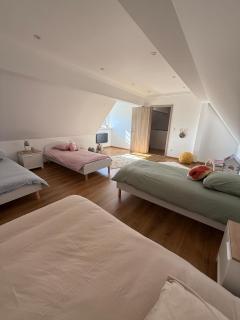 L ecrin de Rosheim, villa d exception, piscine - 3