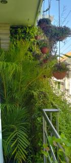 ChiGhaya Guest House - Lawean - 4