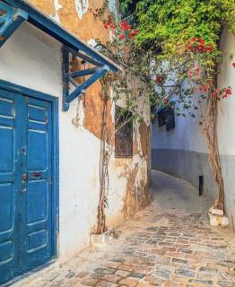 Dar Maram Tunis - Tunis - 2