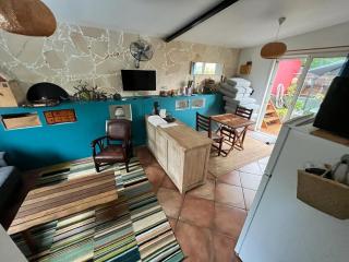 Apartment Fleur De Canne - La Saline - 2