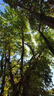 Natural Garden BMT - Buon Ma Thuot - 1