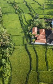 Nia cahya ubud villa - 1