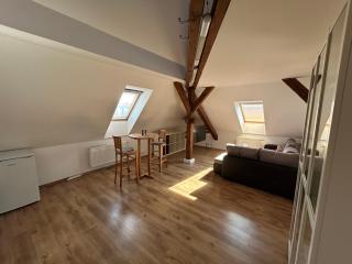 Apartmány u Kubíků - Hradec Králové - 8