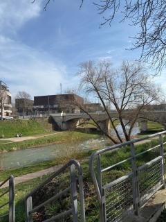 Studio secteur rives de meurthe - Nancy - 5