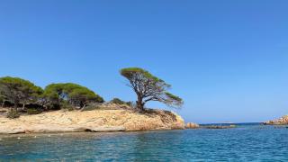 Magnifique T3 à Santa-Giulia Porto-Vecchio - Porto Vecchio - 8