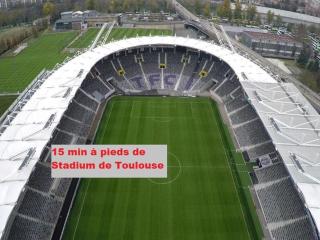 Le Calme du Japon, à deux pas du Mètro et Stadium - Toulouse - 3