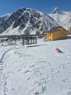 mood villa kazbegi - Kazbegi - 9