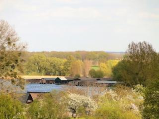 Ruhige Maisonette-Wohnung mit Blick über Röbel "Kleines Himmelreich" - Röbel - 2