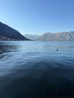Alex Studio 50m from the sea,free private parking - Kotor (Cattaro) - 0
