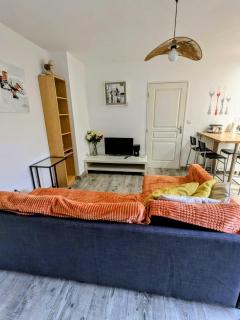 F2 garage box WiFi terasse clim Gare Fac Eco Richter - Montpellier - 9