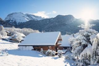 L'abri de Saint-Germain, between lake and mountains - Talloires - 7