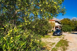 Apartments and Room Adriana - Starigrad-Paklenica - 0