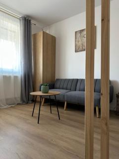 Studio Palm - Popeşti-Leordeni - 7