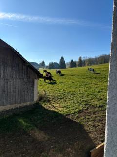 Jolie maison à la montagne - Les Déserts - 2