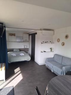 Maison studio, petite maison, maison 23 m2 - Toul - 3