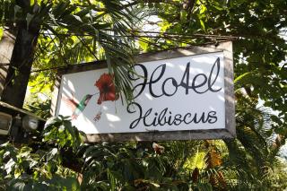 Hotel Hibiscus - Playa Junquillal - 8