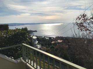 Trieste Sea Life - 2