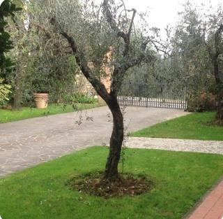 La casina del Castagno - Valiano - 6