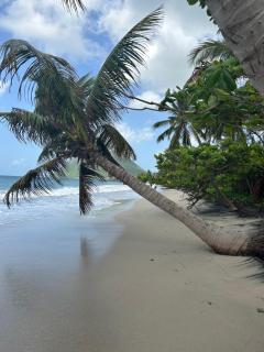 Oasis de l 'Anse parking privé et piscine - 5