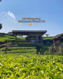 Glamping umi - Pengalengan - 2