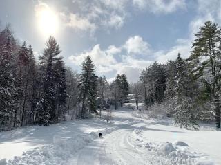 Cozy 2bdrm with Pond View - Best Location! - Stowe - 9
