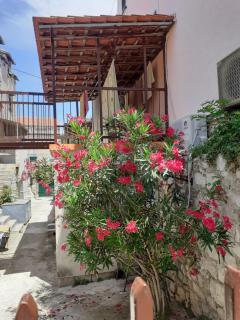 Oleander Apartments Split - 9