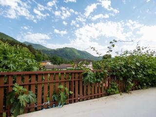 Maison entre lac et montagnes - Draillant - 1
