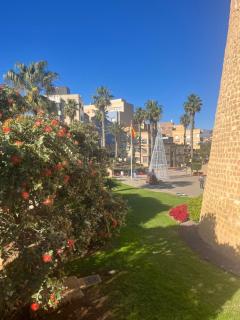 Fantastisches Apartment am Meer - Roquetas de Mar - 6