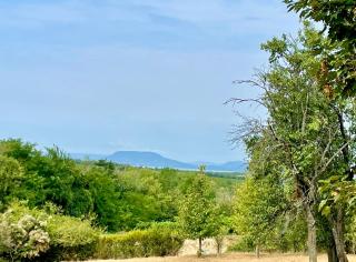 TerraVino Retreat at Lake Balaton - Balatonlelle - 6