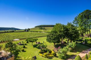 Villa Louise - Aloxe-Corton - 9