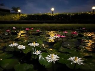 Banana Village Mae Taeng ChiangMai - 7